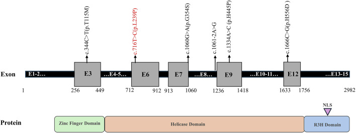 FIGURE 4