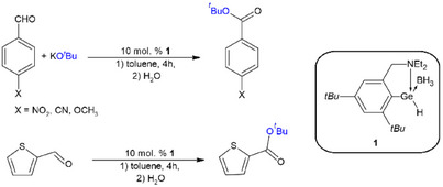 Scheme 5