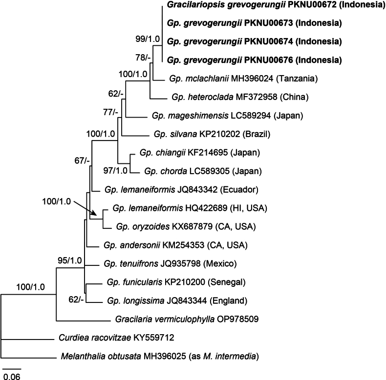 Figure 2