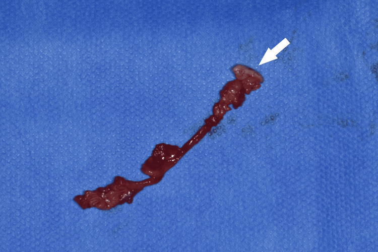 Figure 8