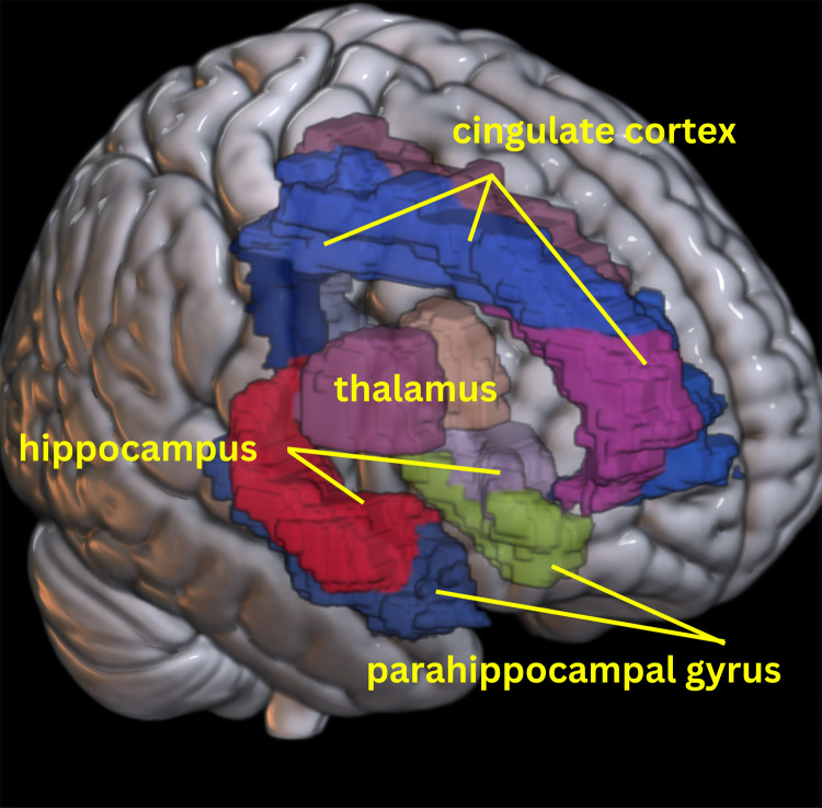 Fig. 2