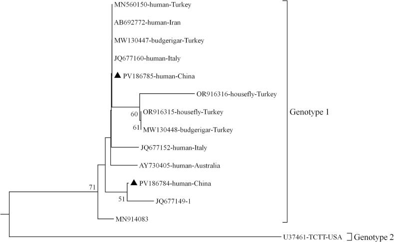 Figure 2