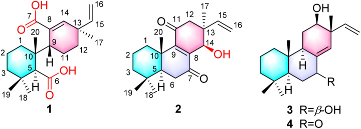 Fig. 1
