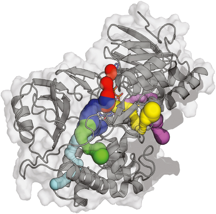 Figure 9
