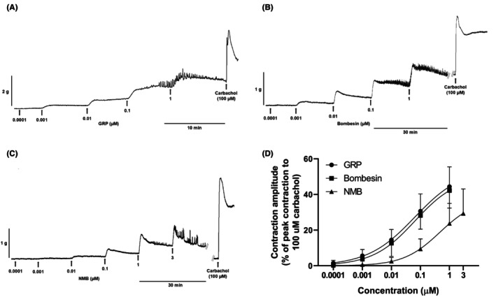 FIGURE 1