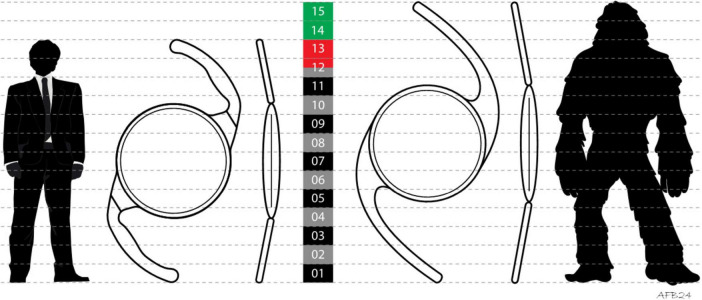 FIGURE 1