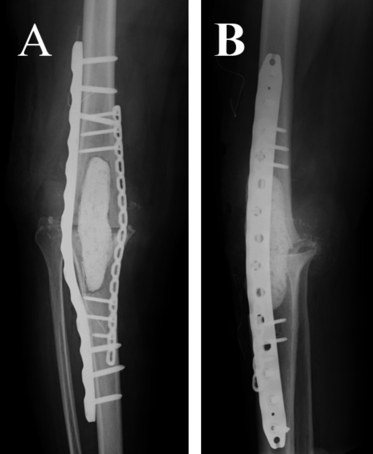 Figure 7