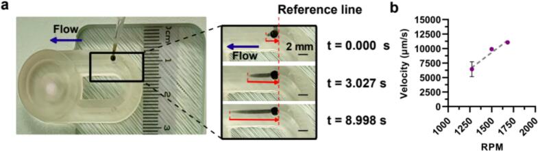 Figure 12