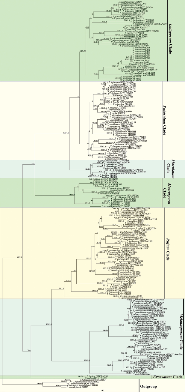 Figure 2