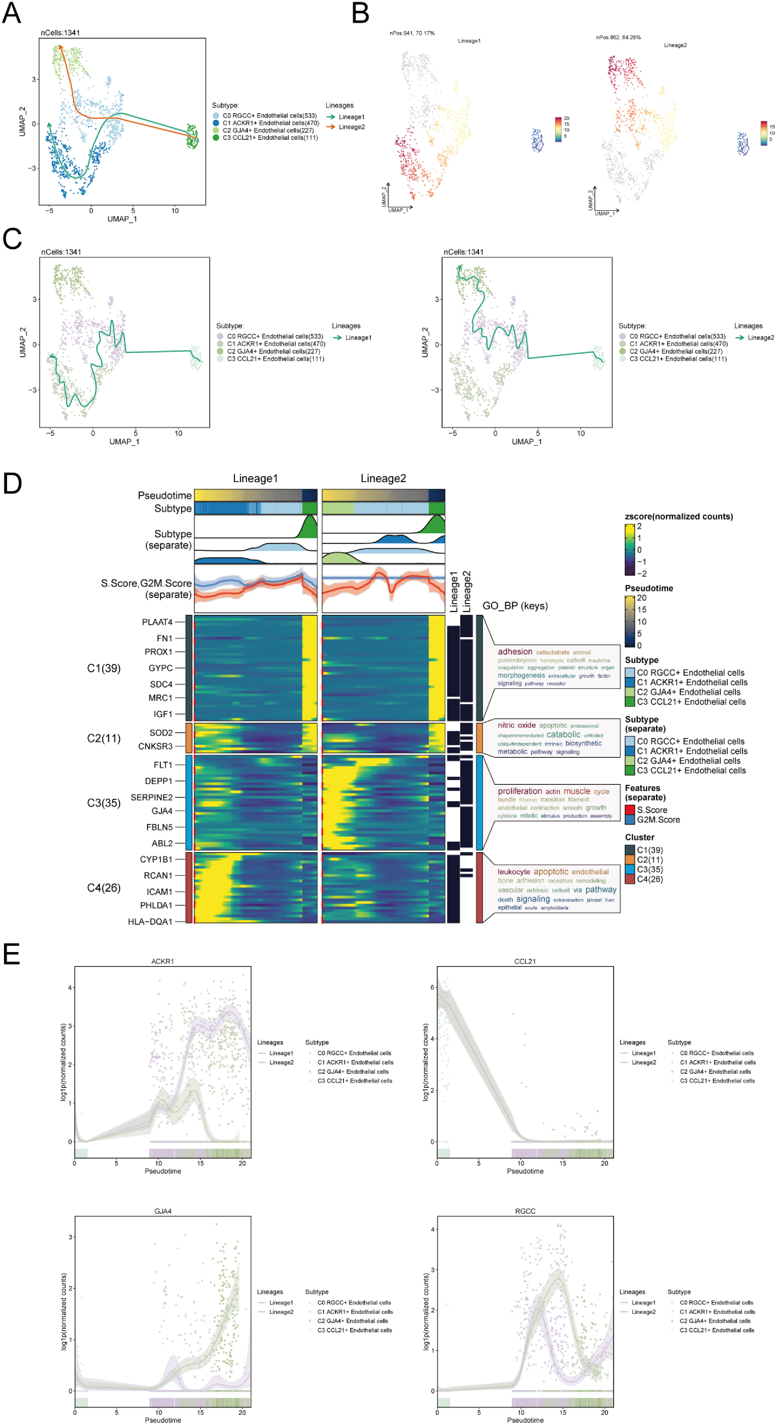 Figure 14