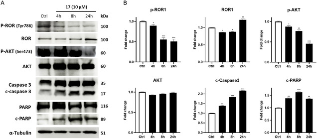 Figure 29