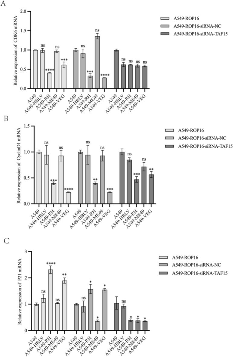Figure 11
