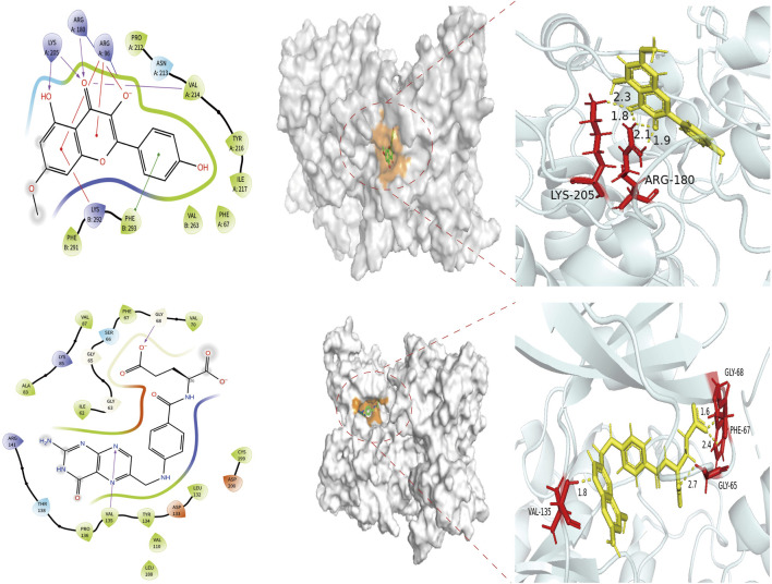 Figure 6