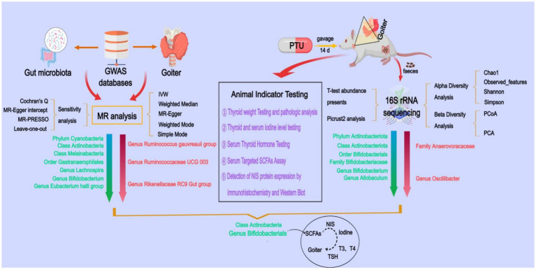 Figure 12