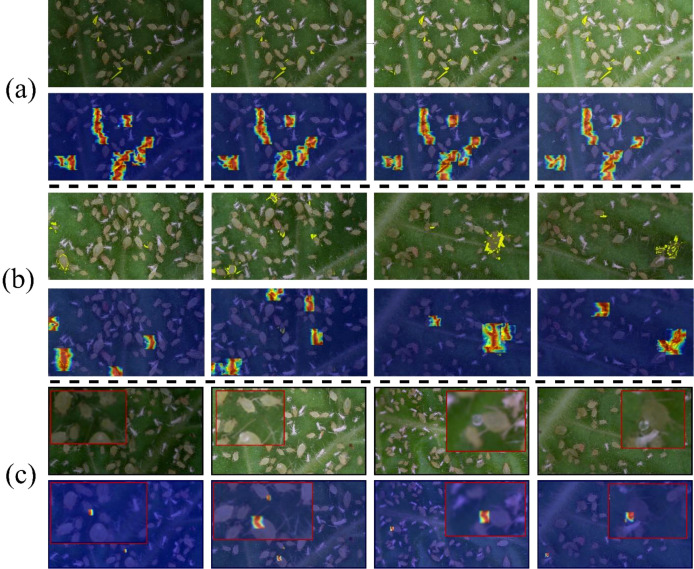 Figure 13