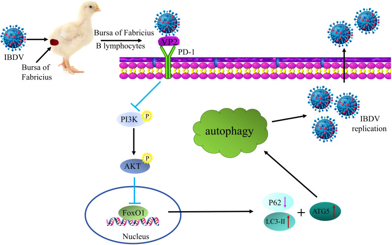 Figure 14