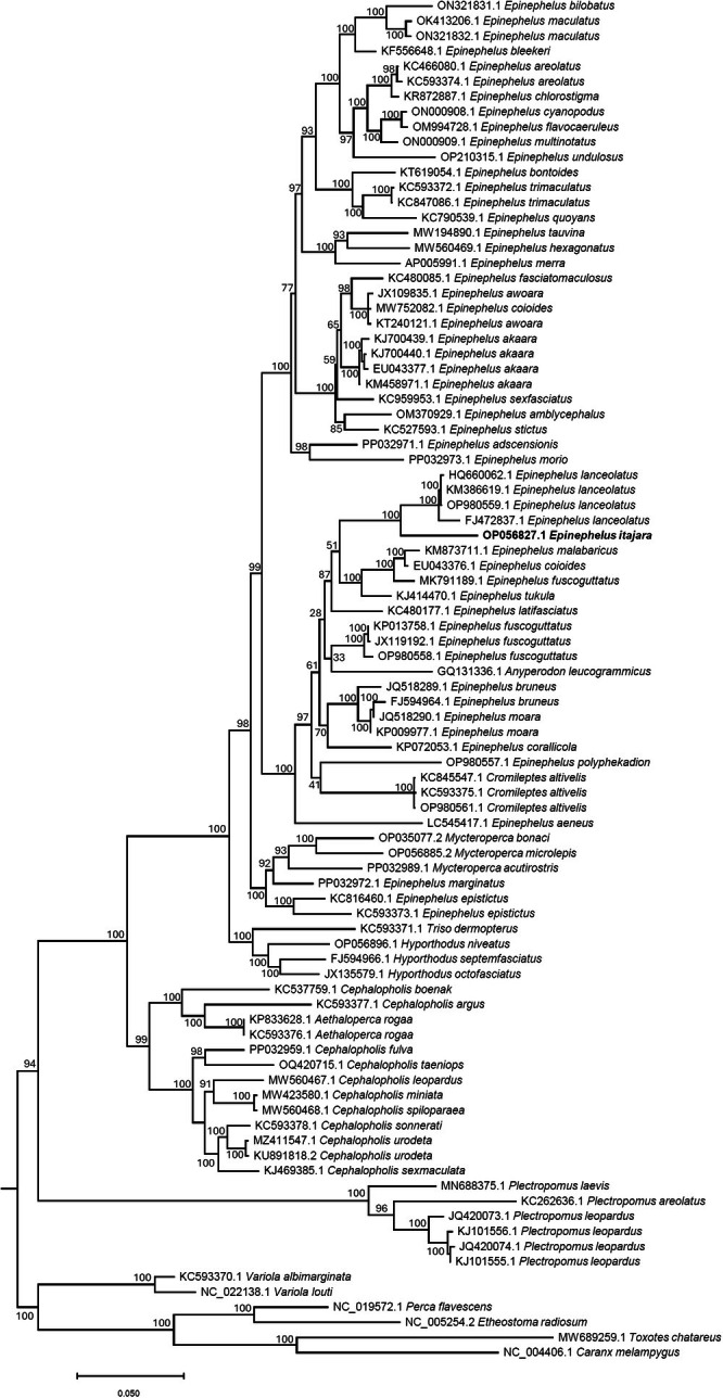 Figure 2