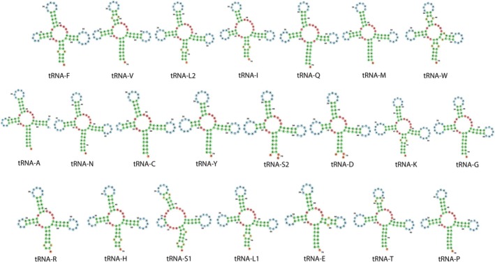 Figure 4