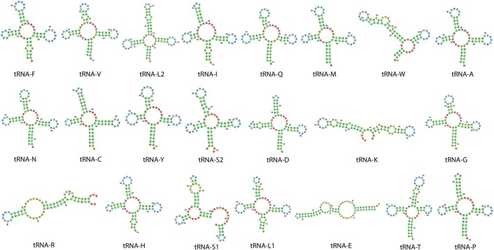 Figure 7