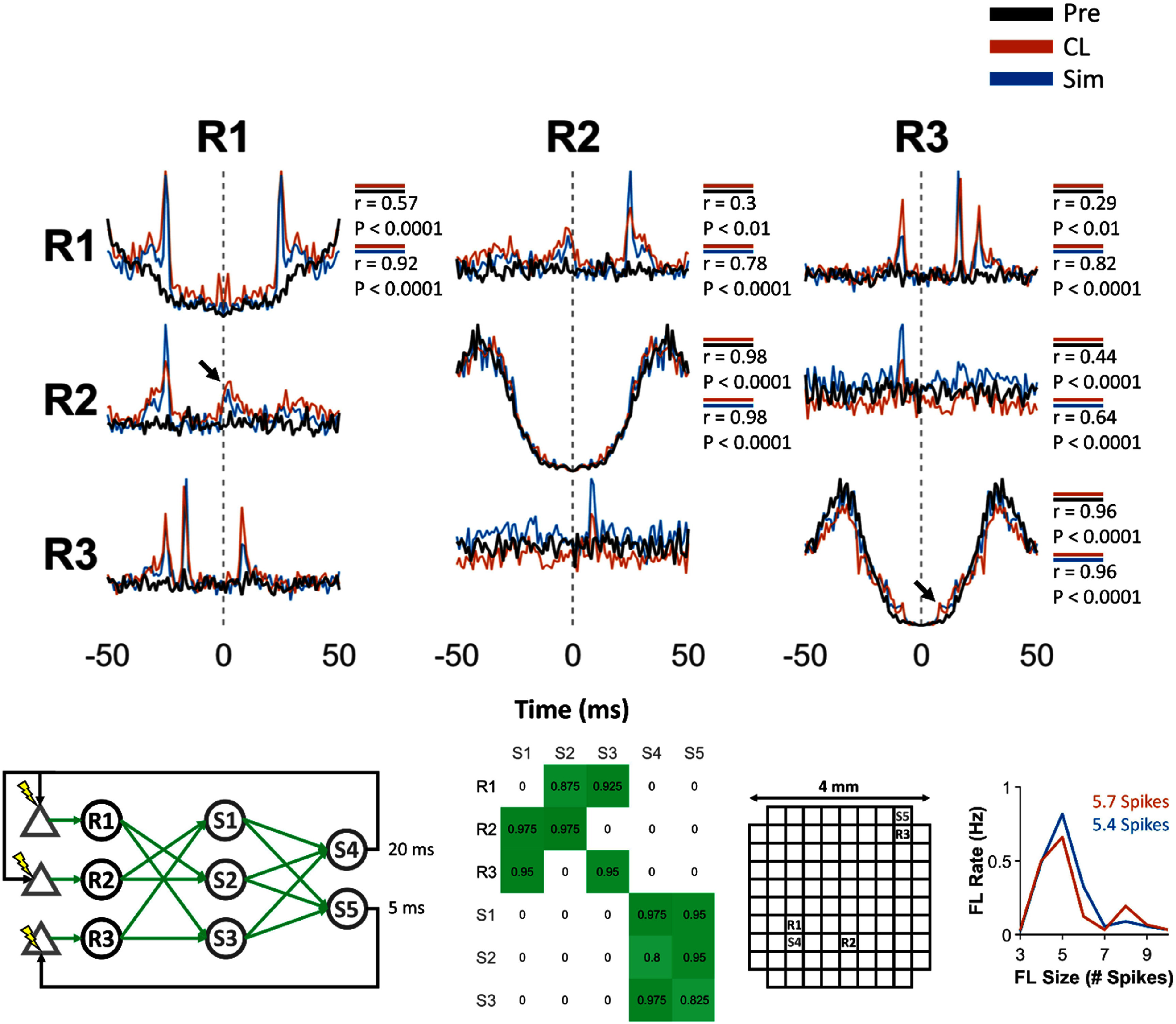 Figure 19