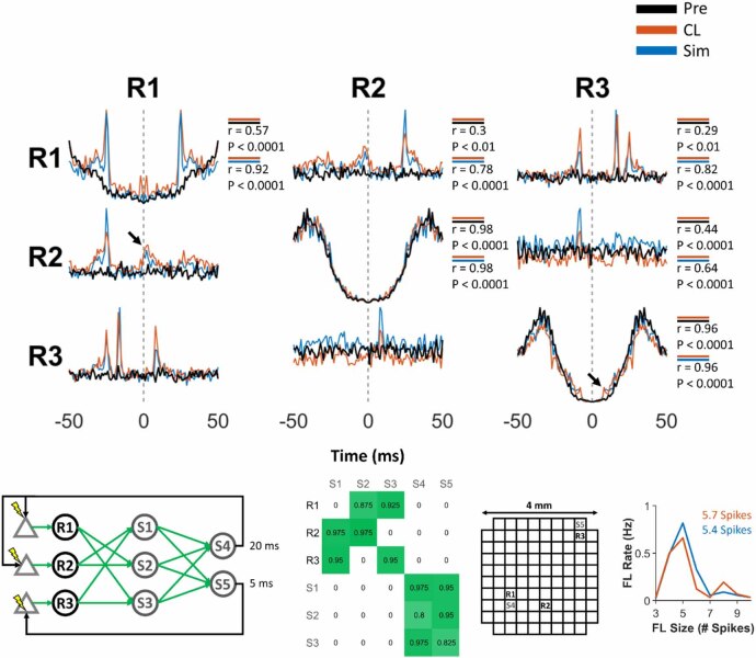 Figure 20
