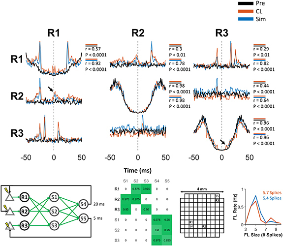 Figure 21