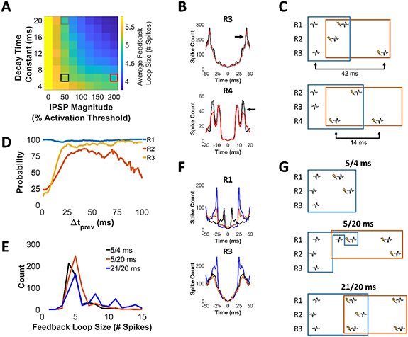 Figure 24