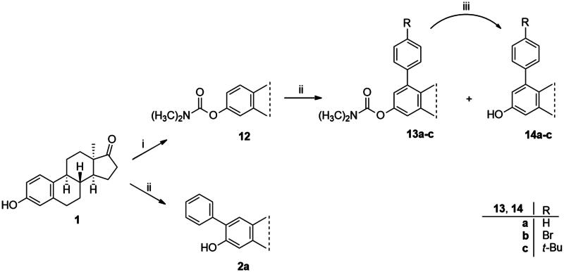 Scheme 1