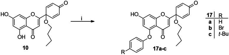 Scheme 3