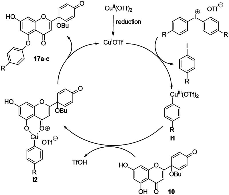 Scheme 4