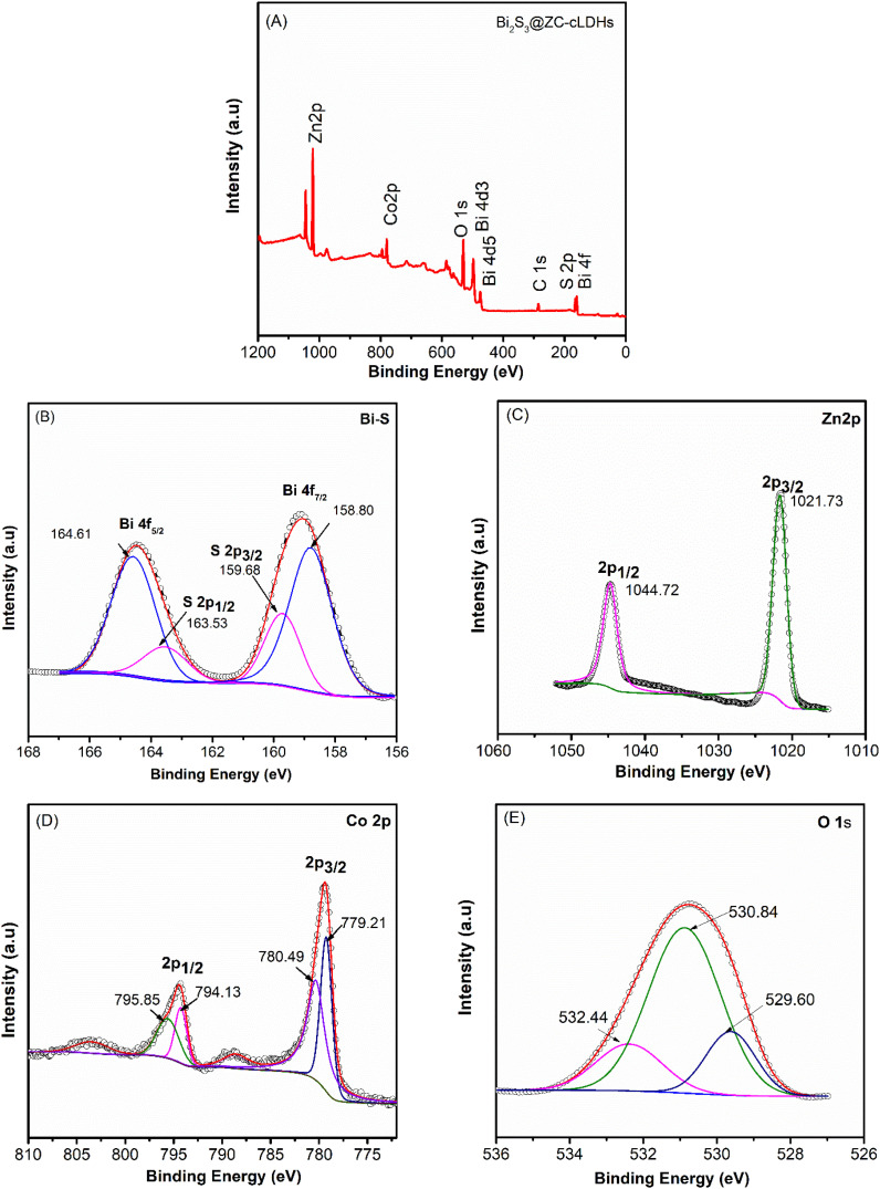 Fig. 2