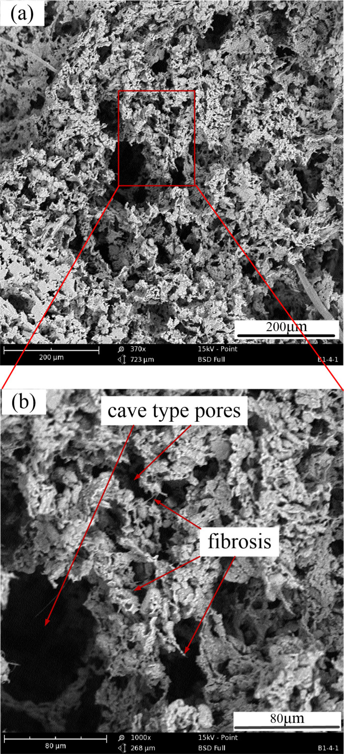 Fig 8