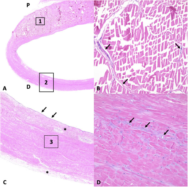 Fig 5