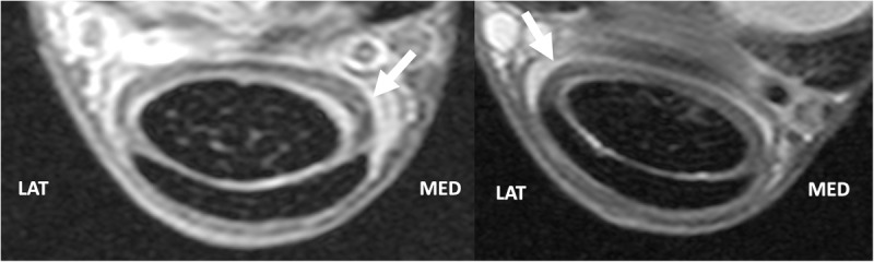Fig 7