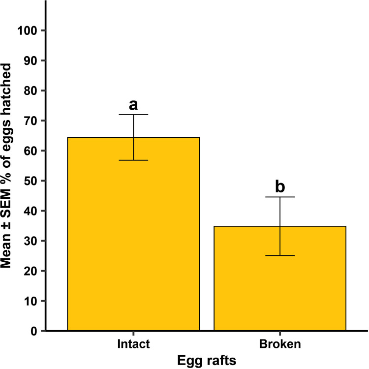 Fig 10