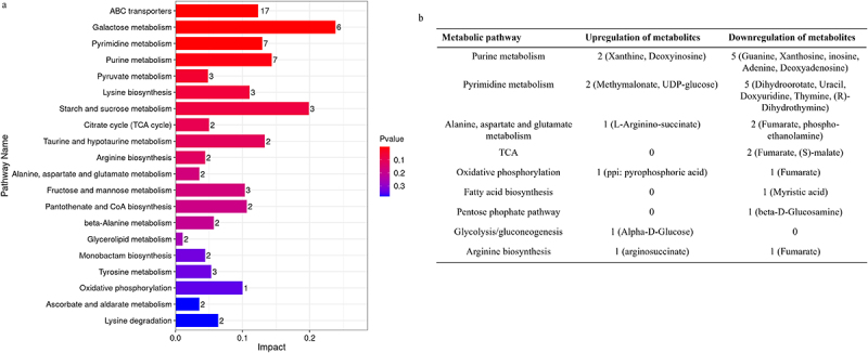 Figure 17