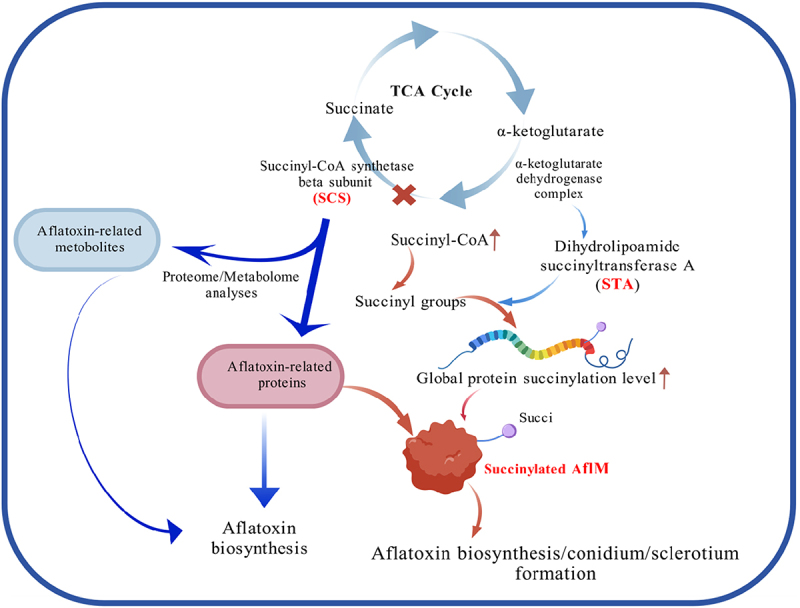 Figure 19