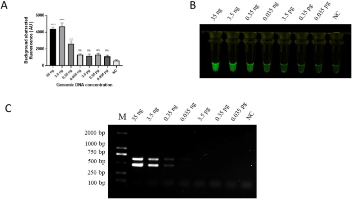 FIGURE 6