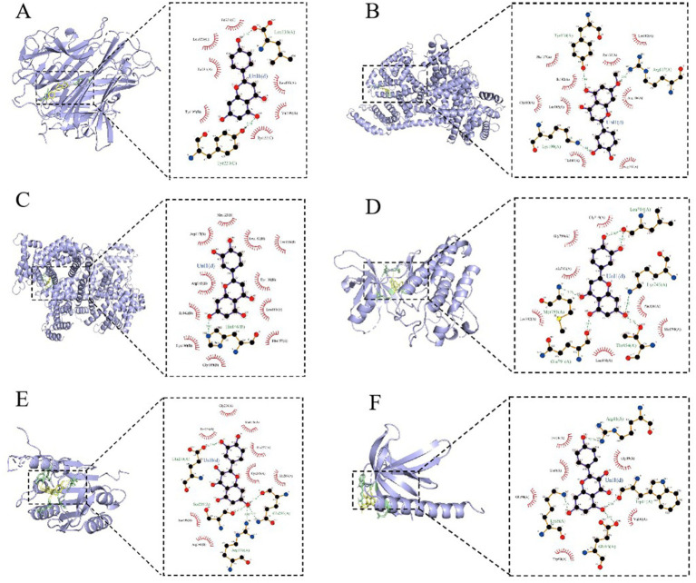 Figure 13