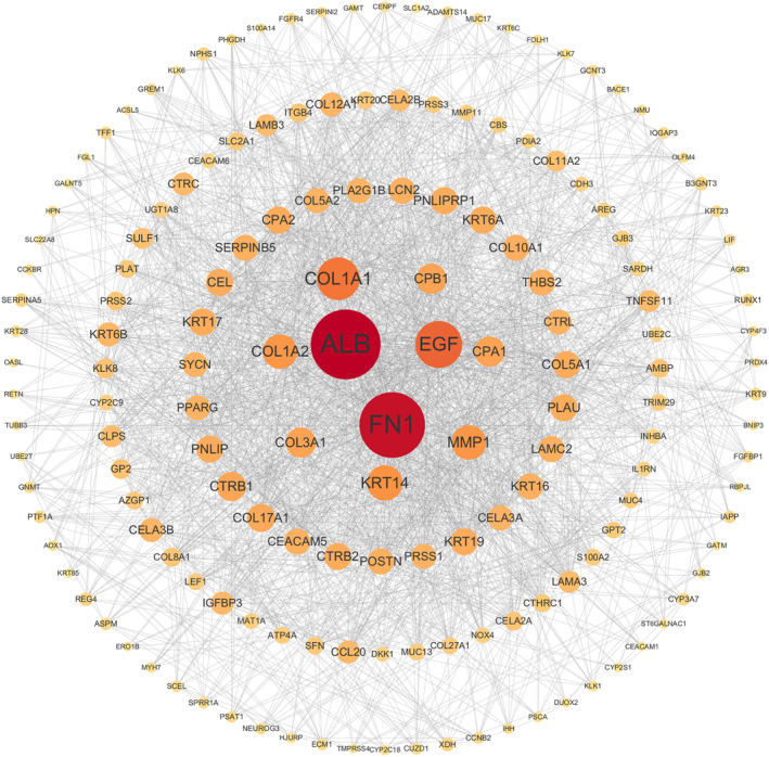 FIGURE 3