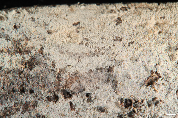 Figure 8