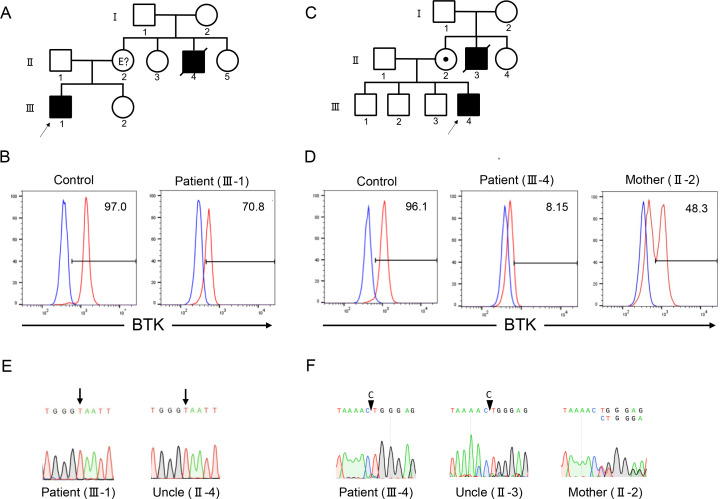 Figure 1