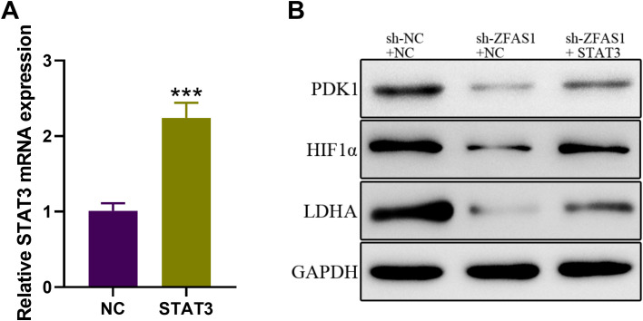 Figure 6