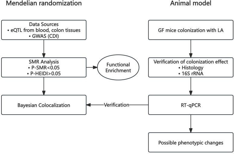 Figure 1