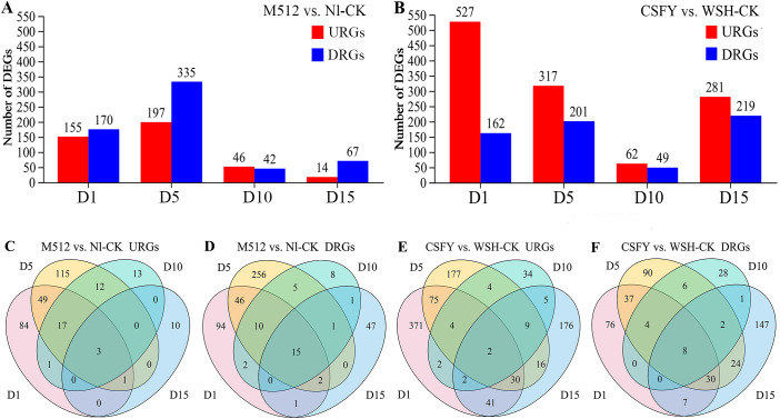 Figure 4
