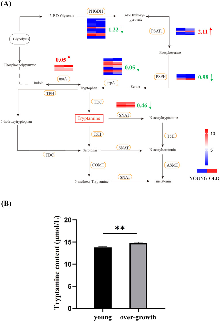 Figure 3