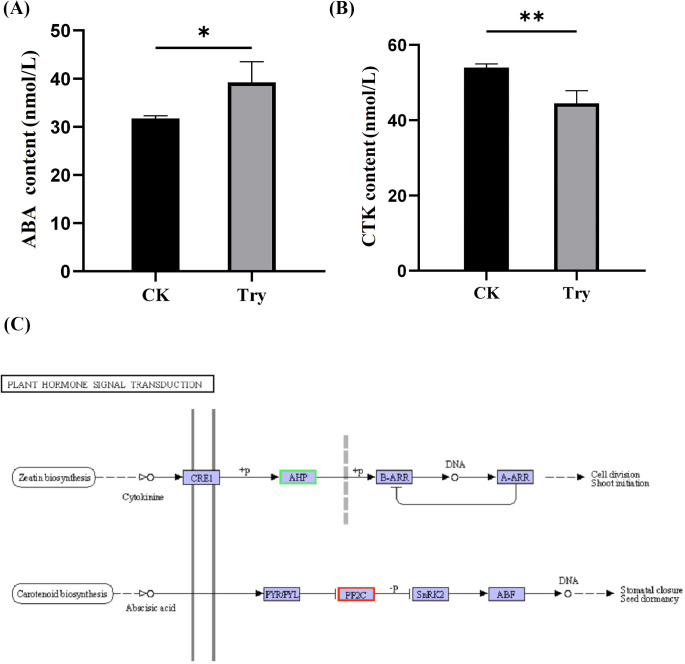 Figure 4