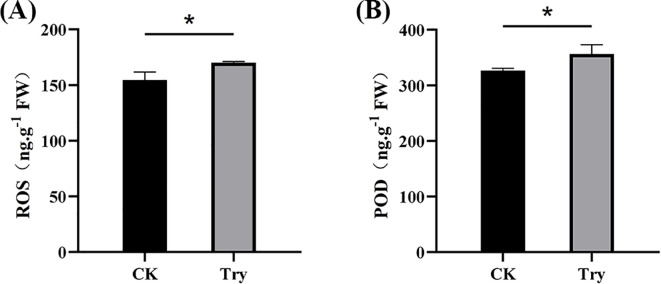 Figure 5