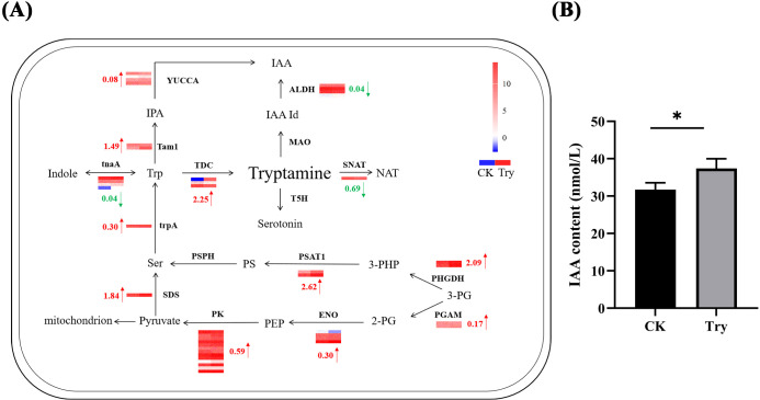 Figure 6