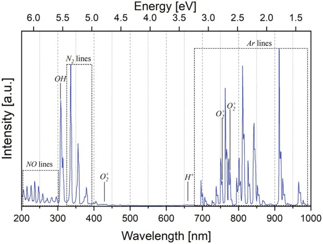 FIGURE 4